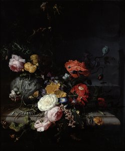 Natura morta con fiori e insetti